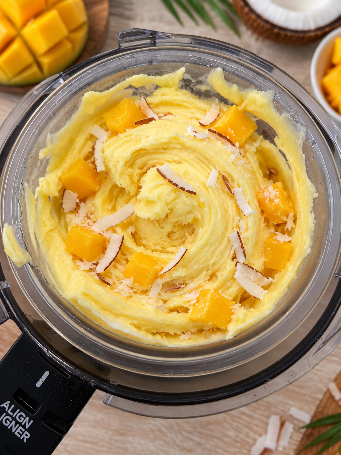 Coconut Mango Ice Cream – SharkNinja